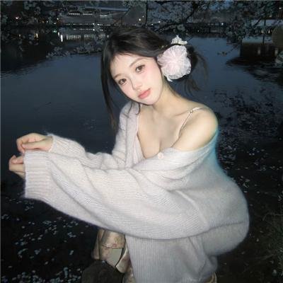 美人记·昭君